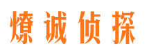 民和市调查公司